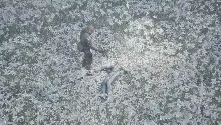 パトリオットを撃つ