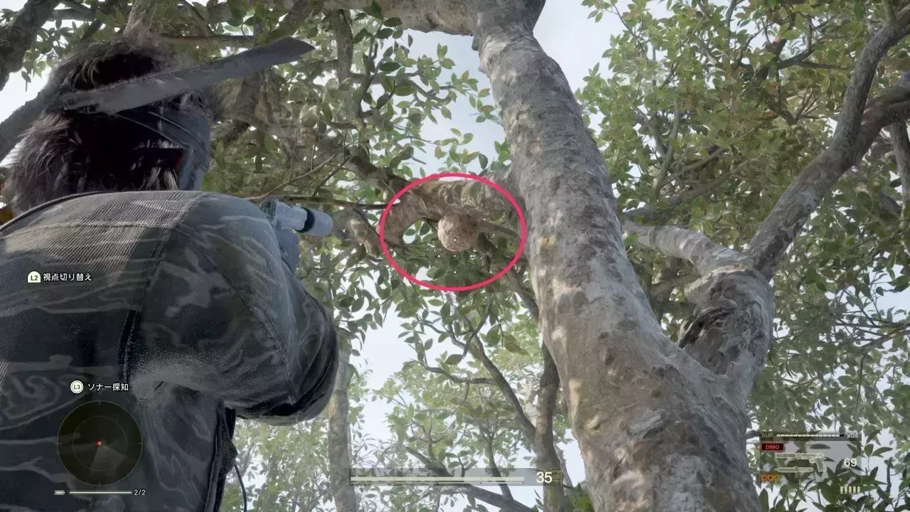 ザ・ペインの蜂の巣序盤