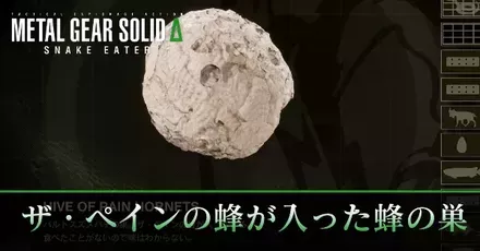 ザ・ペインの蜂が入った蜂の巣IC