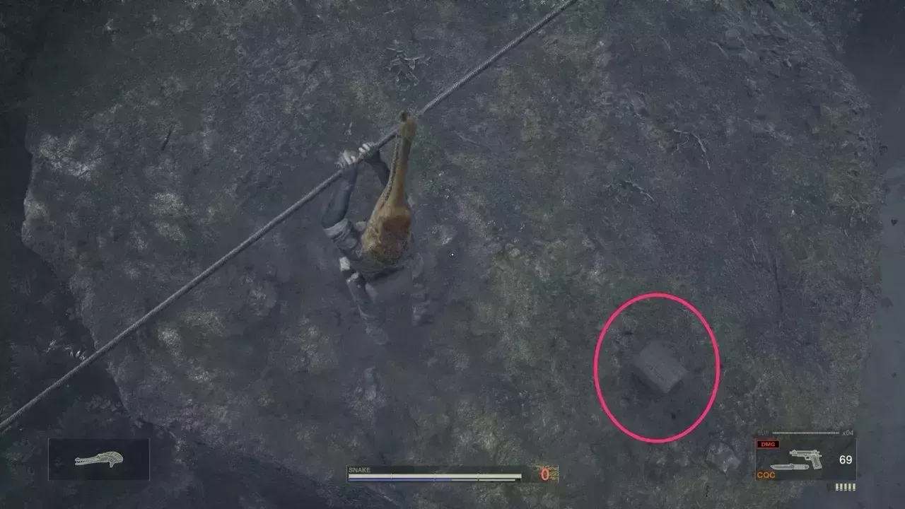 ワニキャップの見た目画像