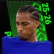 TPジョアンペドロ(08/28)画像