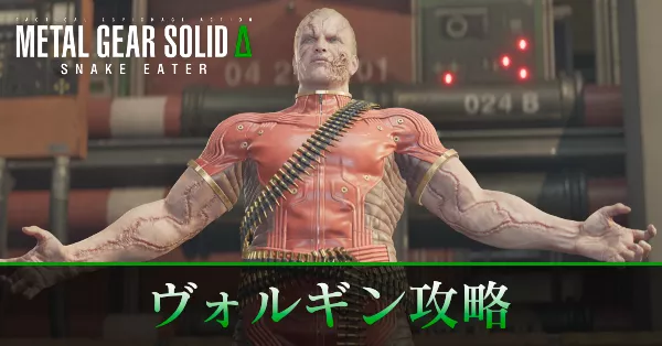 ヴォルギンの攻略