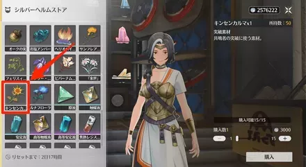 シルバーヘルムストア15個