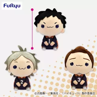 ハイキュー!! もちぴこぬいぐるみ⑤