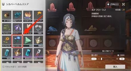 シルバーヘルムストア15個