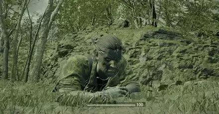 カムフラ率上げ方