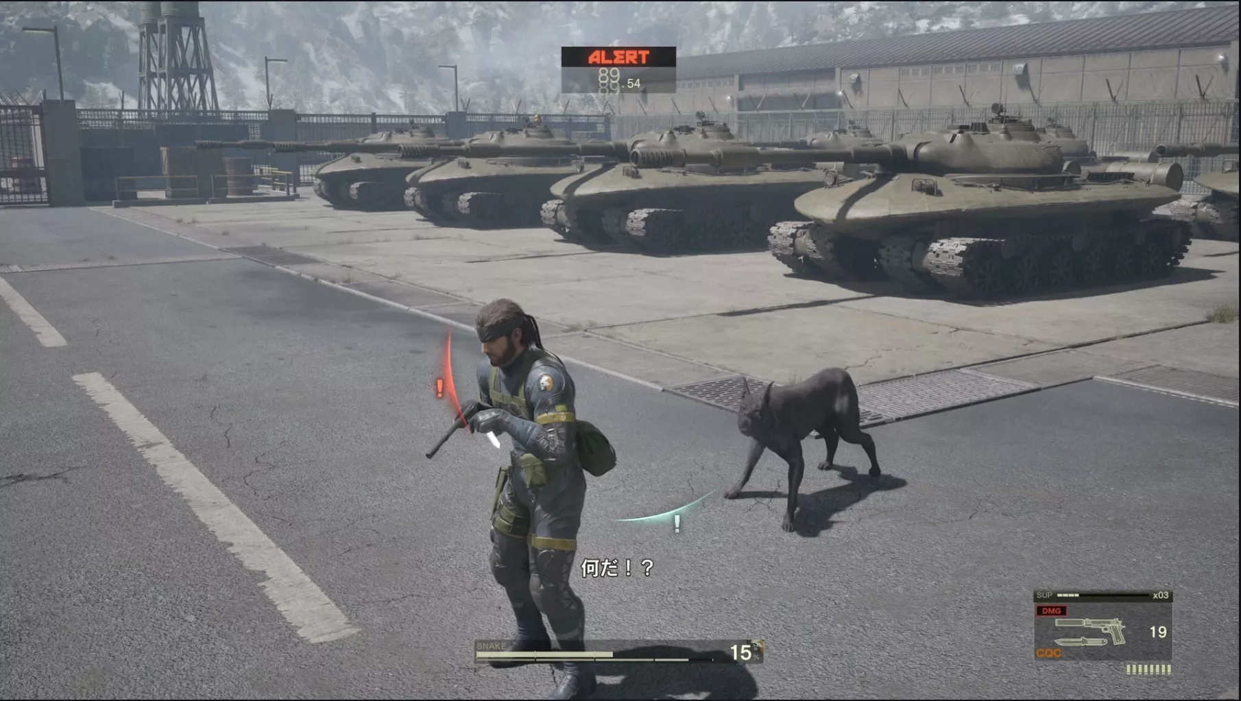 犬に吠えられる