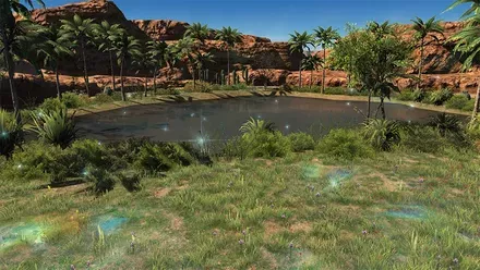 オアシスに入る