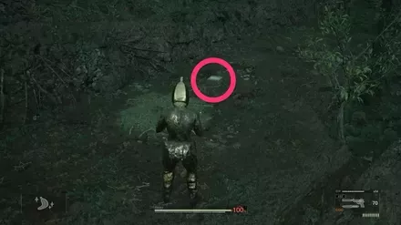 ライフ回復剤の実際の場所画像