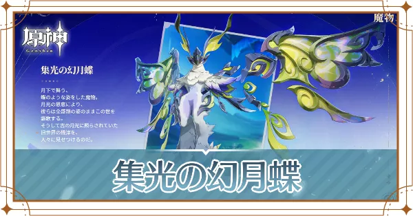集光の幻月蝶
