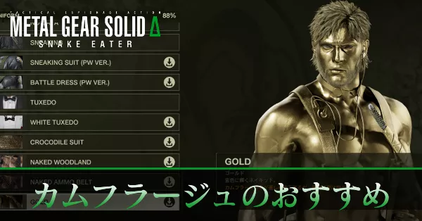 カムフラージュのおすすめ