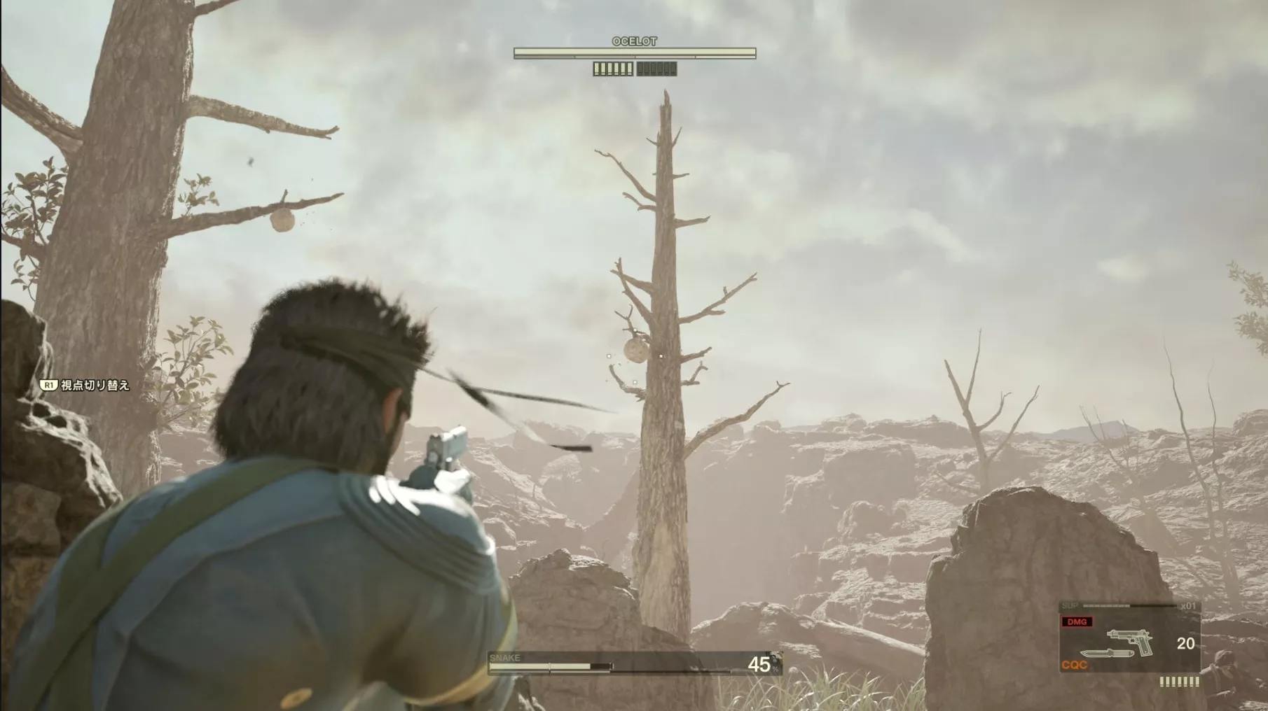 ぶら下がっている蜂の巣