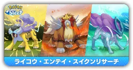 ライコウ・エンテイ・スイクンリサーチ