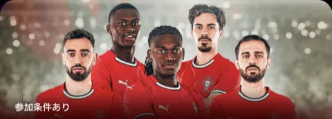 National Teamsバナー