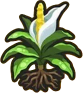 ヒポクテ草のアイコン