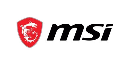 MSI