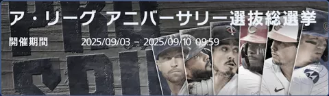 アニバーサリー総選挙