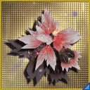 ゼネス・フレッドワイヤーの画像