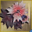 ゼネス・フレッドナックル