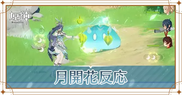 月開花反応