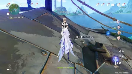 ペルマンシェの問題の場所