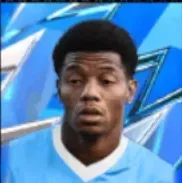 HPダヴィドネリス(09/08)画像