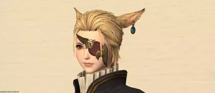 レザードレスアイパッチ見た目