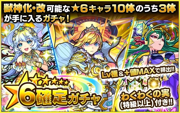 初心者パック画像