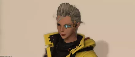 スカエウァ・ヘッドギア見た目