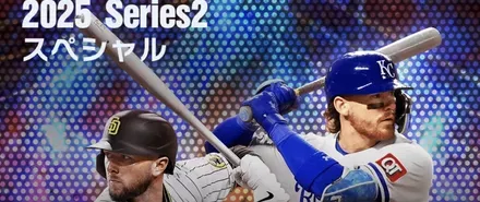 チーム純正ユーザーにおすすめ