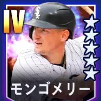 モンゴメリー画像