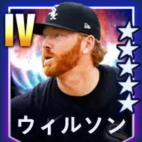 ウィルソン画像