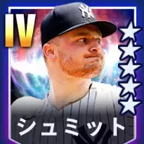 シュミット画像