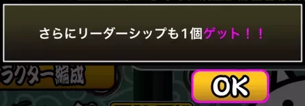 追加のリーダーシップ