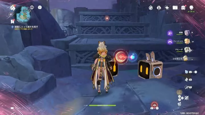 開けた場所に出たら正面と右にある岩の足場を展開する