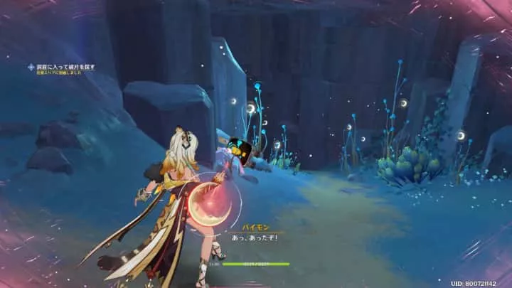 洞窟の入口にある石を拾う