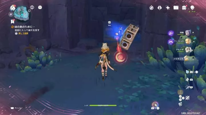 洞窟奥の岩で塞がれた場所が開いたら中の石を取る