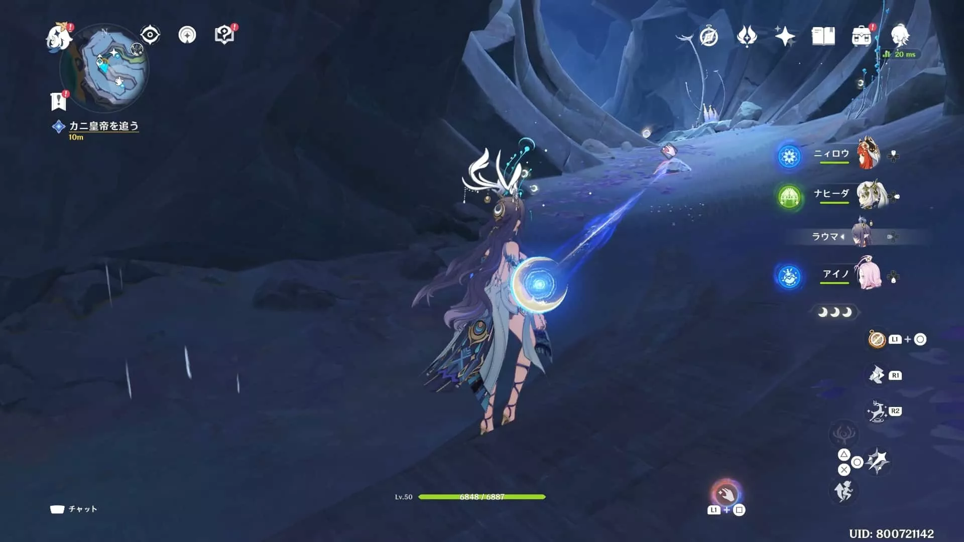 植物の近くから来た道にある石を引っ張る