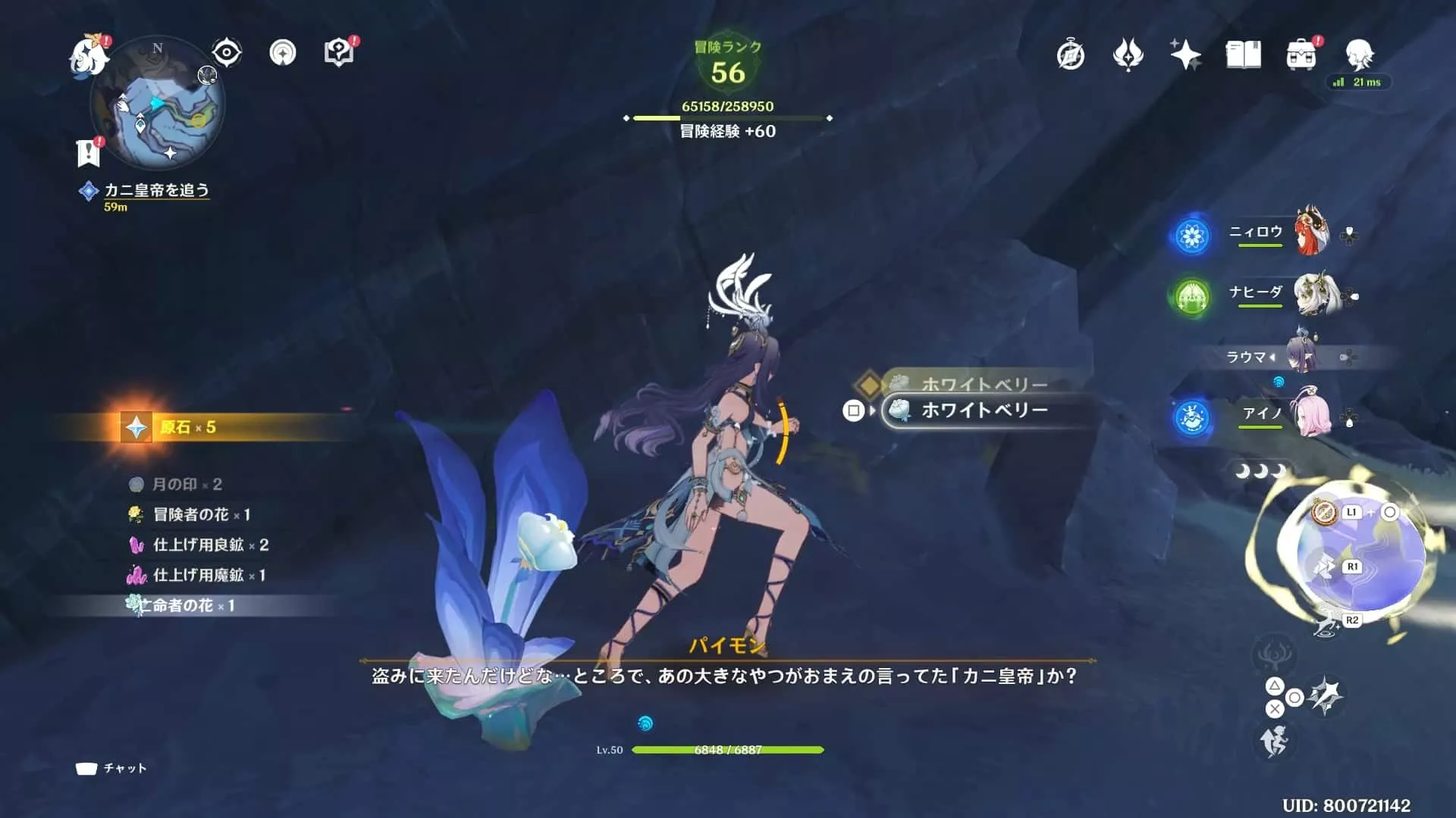 洞窟を進んだ先にある「ホワイトベリー」を2つ拾っておく