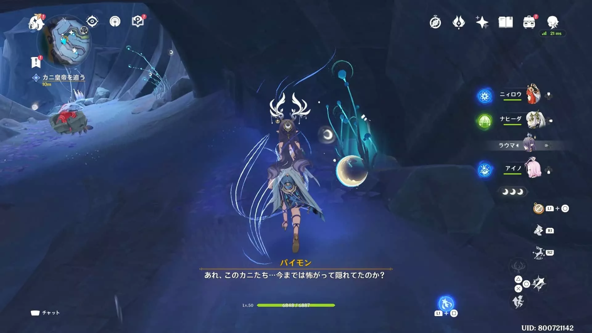 青色の植物があるので近くまで行く