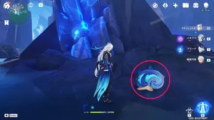 青いクーヴァキを持つ生物