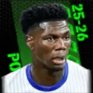 TPオーレリアン・チュアメニ(09/11)の画像