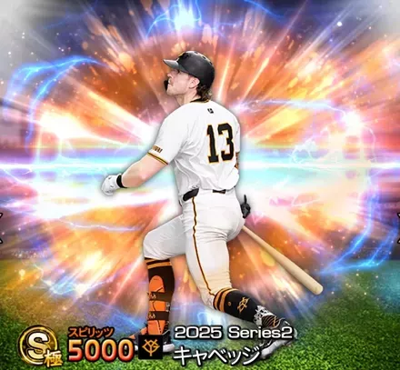 キャベッジ画像