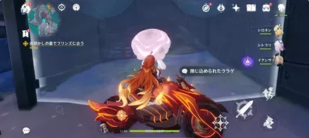 閉じ込められたクラゲ