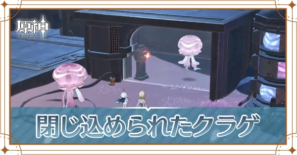 閉じ込められたクラゲ