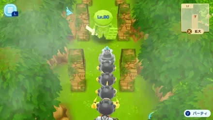 マカロンナイト