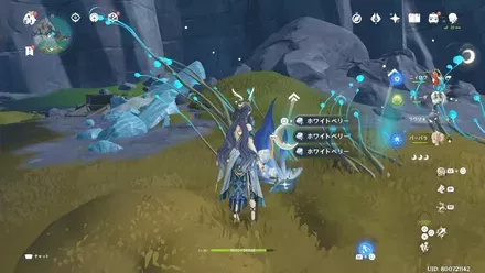 ホワイトベリーの見た目