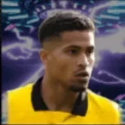 HPジョアンゴメス(09/15)画像