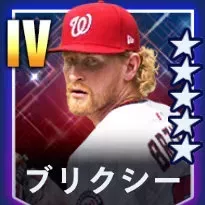 ブリクシー画像