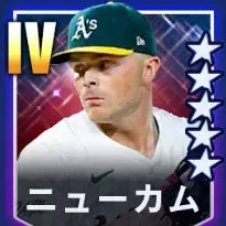 ニューカム画像